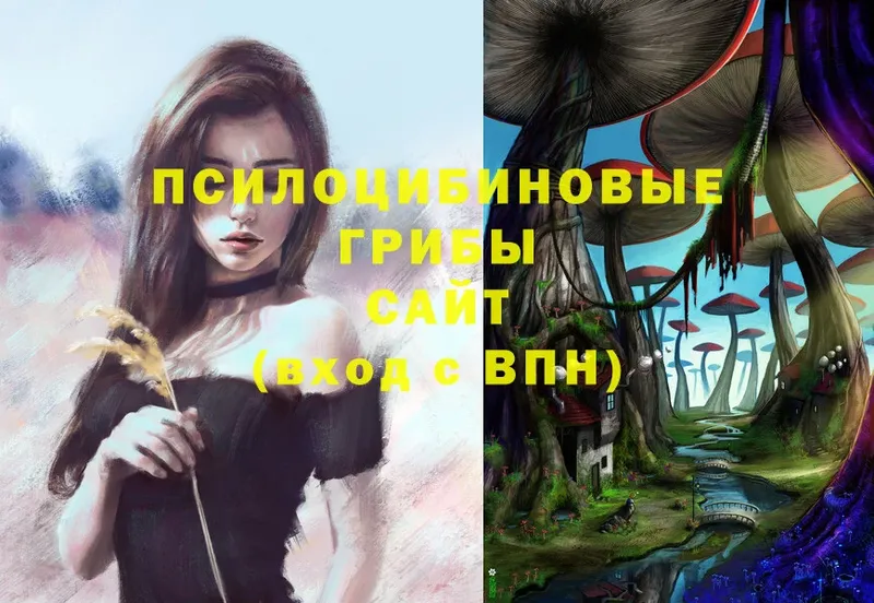 Псилоцибиновые грибы Magic Shrooms  Удомля 